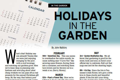 IN THE GARDEN: HOLIDAYS IN THE GARDEN